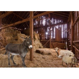 Zliisang 7X Old Barn Nativity Backdrop - Straw Hay Farmhouse Western Farm Nativity of Jesus Hayloft Scene Newborn Baby Theme Old Wooden Barn Photo Props