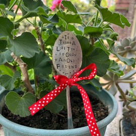 Garden Marker Friendship Gift, Funny Spoon Plant Markers, Garden Metal DIY Decorative Sign Plant Labels,Plant Lover Garden Decoration Creative Gift (It Takes a Long Time to Grow an Old Friend)