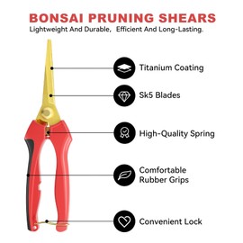 FLORA GUARD Garden shears – 8.2" Straight Tip & 6.2" Curved Blade pruning shears for gardening, ideal for Precise Trimming of Flowers, Plants, and Garden Maintenance (2 Pack)