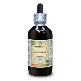 Goldenrod (Solidago Virgaurea) Tincture, Organic Dried Herb Liquid Extract (Brand Name: HerbalTerra, Proudly Made in USA) 4 fl.oz (120 ml)