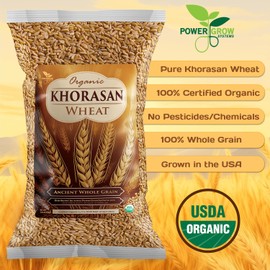 Khorasan Wheat - 100% Certified Organic Khorasan Whole Wheat Grain by PowerGrow System - Use for Sourdough Baking, Milling Flour, Cereal, Salads, Pasta etc. (Khorasan Wheat (25 Pounds))