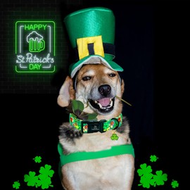 Lionheart glory Lionheart glory St. Patrick's Day Dog Collar-Lucky Clover Shamrock Collars Green Dog Collar for Medium Dogs Spring Trefoil Dog Collar Adjustable Heavy-Duty Soft Collar Pet Gift