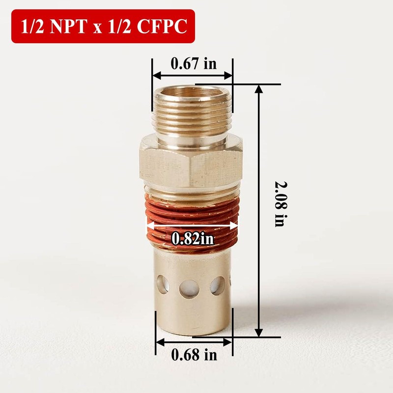 CAC-437-2 Air Compressor Check Valve,Brass 1/2 NPT & 1/2 CFPC
