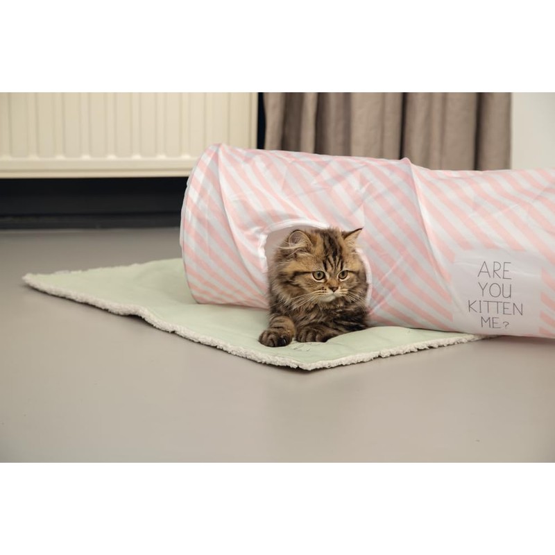 Beeztees K BZ Trolley Jack Nini 60 x 24 x