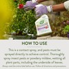 Garden Safe 32 oz. Insecticidal Soap Ready-to-Use, 1 Count (Pack