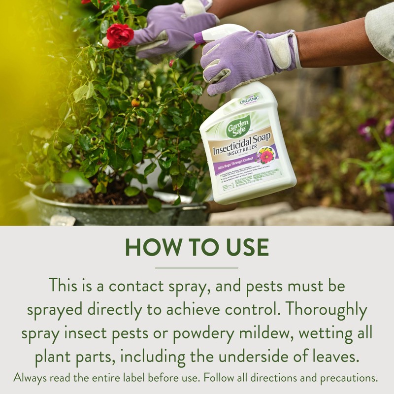 Garden Safe 32 oz. Insecticidal Soap Ready-to-Use, 1 Count (Pack