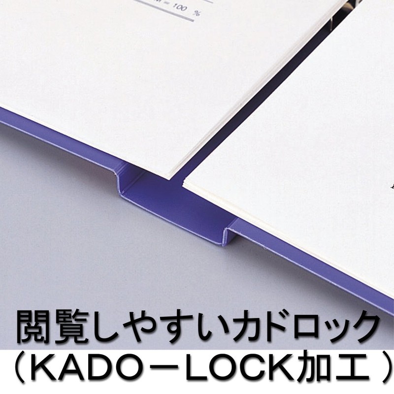 リヒトラブ リングファイル A4 2穴 黒 F867U-24