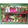 Cardinal Shoes With Plants 1000pc by Cardinal Puzzle (2020)