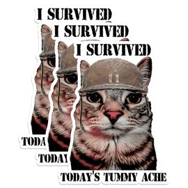 Pack 3 PCS 3" - I Survived Today’s Tummy Ache Cat Meme Sticker Funny Military Meme Cat Pet Trending Waterproof Vinyl Stickers for Water Bottle Tumbler Helmet Car Laptop Phone Gift for Boy Girl Kid