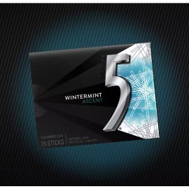 5 Gum Five 5 Gum Winter-Mint Ascent Sugar-Free Gum, 15 Count (Pack of 10)