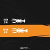 4D Craw 3" & 4" 6pcs| Ultra Realistic Look