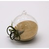B2C Coloured Sand Aquarium Fish Tank Substrate 1/2/5/10/20KG Black/White/Natural/Red (100,