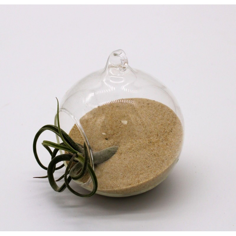 B2C Coloured Sand Aquarium Fish Tank Substrate 1/2/5/10/20KG Black/White/Natural/Red (100,