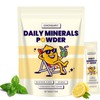 Aevezom Mint Lemon Electrolyte Drink Mix – Daily Hydration Powder