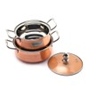 Coconut Royale Copper with Glass Lid Handi/Cookware Set (Stainless Steel,