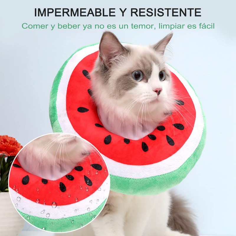 Collar de Recuperación Para Gatos y Perros, Ajustable y Cómodo