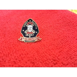 2ND USMC RECON BATTALION HAT/LAPEL PIN
