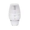 GIACOMINI Thermostatic Radiator Head with Liquid Sensor R460X001