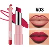 2-in-1 Lipstick Lip Liner Set,Long Lasting Waterproof Matte Lipstick &