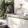 S Spout Antique Wall Mounted Faucet Single Cold Anti Freeze