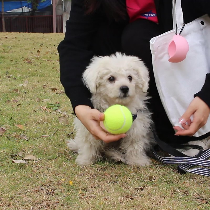 FeiYeup Ball Holder Tennis Holder with Dog Leash Attachment Pet