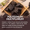 Champú orgánico oscurecedor y ennegrecedor Polygonum Multiflorum de Shouwu para