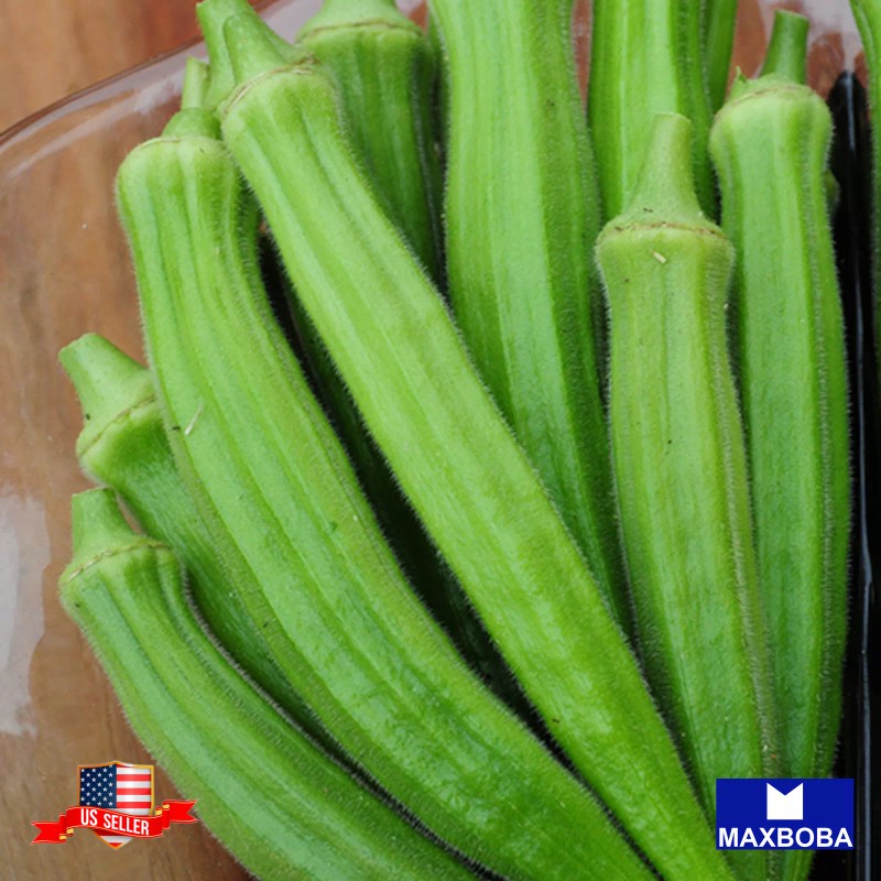 Maxboba Okra Seeds Perkins Long Pod Non-GMO Heirloom - 80