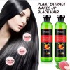 MOKERU Natural VINEGAR BLACK HAIR DYE CREAM 500ml*2/Pac Black Hair