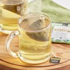 Twinings Discovery Collection Pure Sencha Green Tea, 30 Large Leaf