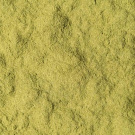 Barley Grass Powder Organic 200 g - Young Fine Barley Grass Powder from Germany - Organic Certified - Finest Taste - Bottled and Controlled in Germany - Biotiva