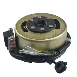 Unbranded Magneto Stator Rotor Flywheel Coolster Lifan 50 110cc 125cc Engine Pit Dirt Bike