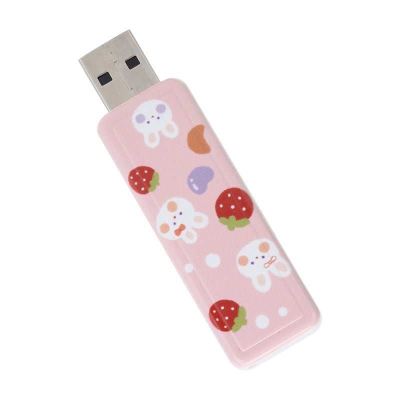 U Disk PushPull USB2.0 Memory Car Flash Drive Computer Accessories