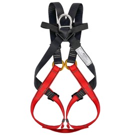 NewDoar Climbing Seat, Full Body for Amusement Park & Rock Climbing Expedition,Suitable for 4 to 10 Years Old Kids