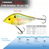 Robinson Fishing Lure for Large Predatory Fish - Jerkbait Wobbler,