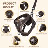 GlasFlength Cat Harness with Lead, Escape Proof, Cat Lead with
