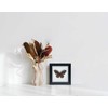 ITrixgan Taxidermy Butterfly, Framed Butterfly Specimen, Real Butterfly Display Insect