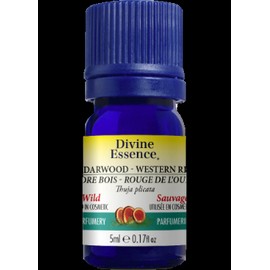 Divine Essence Cedarwood Oil (Western Red, Wild) - 5ml
