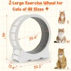 JFHID Large 46'' Wooden Cat Exercise Wheel Cat Treadmill Cat