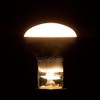 Yazawa RF100110V57WL Reflex Bulb, Long Life Type, 60W Type, E26