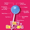 Zollipops Gabby's Dollhouse Variety Pack - Mixed Fruit Flavored Lollipops,