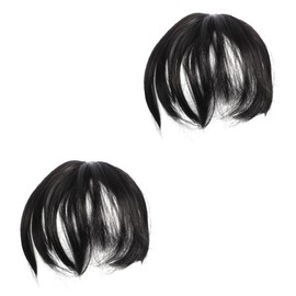 FOMIYES 2pcs Piece Hair Pieces for Women Hair Volume Topper Synthetic Wiglet Wiglet