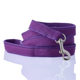 Pet Passion Recycled Ribbon Dog Leash 7 Ft. for All Pet Breeds, Purple, One Size