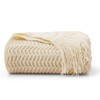 Counfeisly White Shell Motifs Acrylic Knitted Throw Blanket, Soft Lightweight