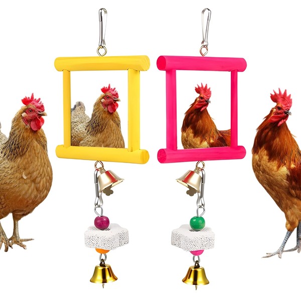 Bodeshis 2 Pcs Chicken Toys for Hens, Chicken Coop Accessories