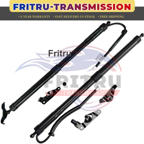 Unbranded 2PCS Rear Trunk Lift Support Strut Shock Set For