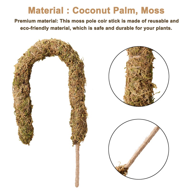 Moss Pole Coconut Stick DIY Modeling Plant Climbing Pole Climbing
