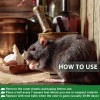 Banded Rat Repellent Balls, Peppermint Oil for Mice Rodent Rats