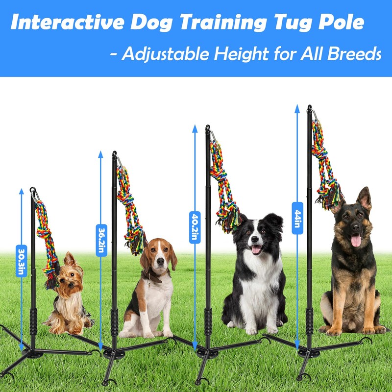 SYOOY Tether Outdoor Dog Toy,Interactive Exercise Game in Yard Park