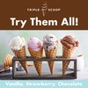 Triple Scoop - Premium Vanilla Choc Chip Ice Cream Mix
