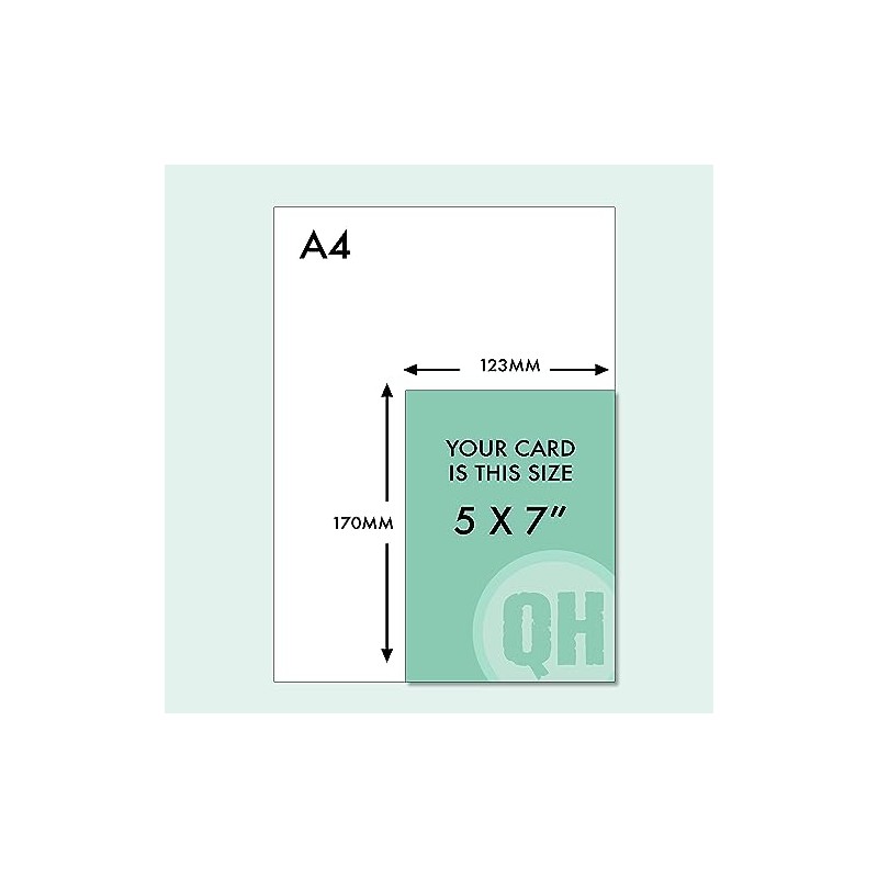 You're How Old? Cat Birthday Card